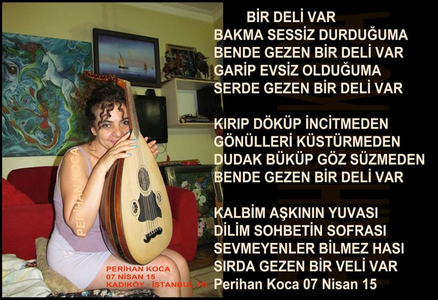 BİR DELİ VAR 07NSN15